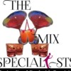 The Mix Specialists